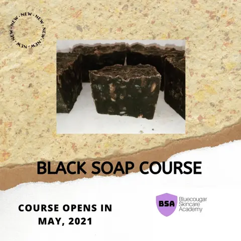 AFRICAN BLACK SOAP MINI COURSE